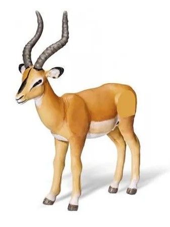 RAV0367 - TIPTOI Antelope - 1