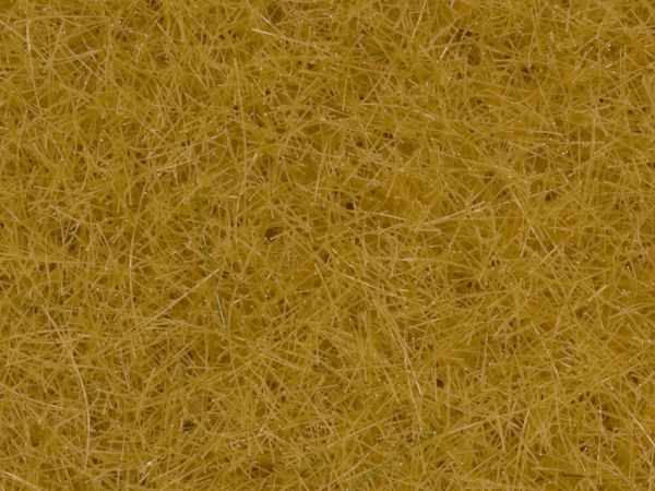 NOC07096 - Pot wild grass yellow - 1