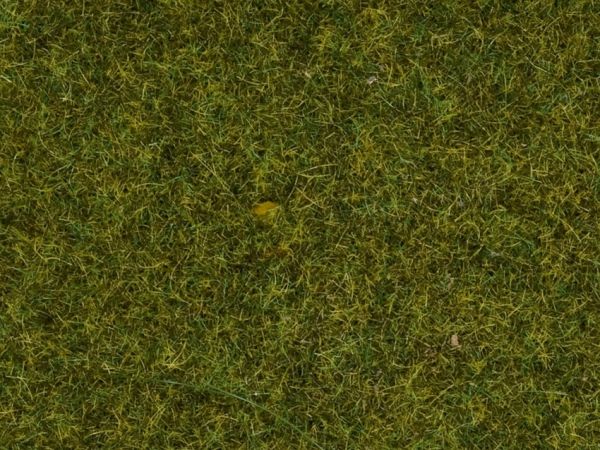 NOC07117 - Wild Herbs Pre - 50g - 9mm - 1