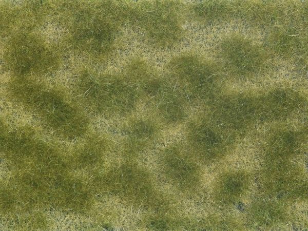 NOC07253 - Green/beige plant foliage 12x18 cm - 1