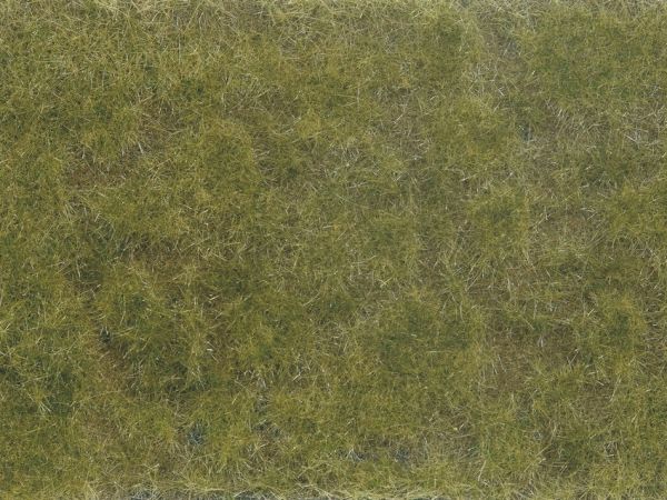 NOC07254 - Green/brown plant foliage 12x18 cm - 1