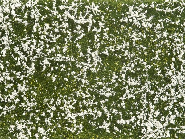 NOC07256 - Vegetable foliage; White meadow 12x18 cm - 1
