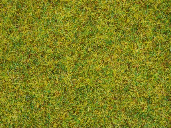 NOC08151 - Pot scatter grass spring meadow 120g - 1