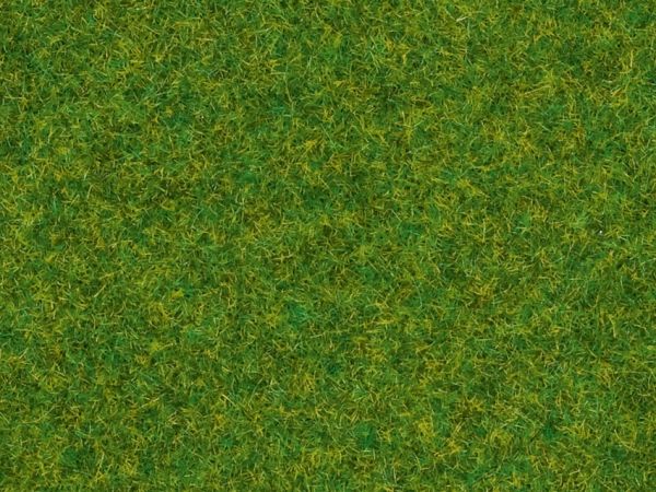 NOC08314 - Ornamental grass grass - 2.5 mm - 20g - 1
