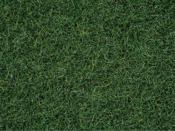 NOC08320 - Swamp Herbs - 2.5mm - 20g - 1