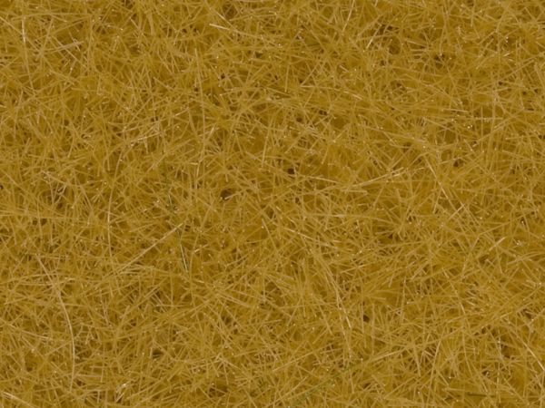 NOC08362 - Beige herbs - 4mm - 20g - 1