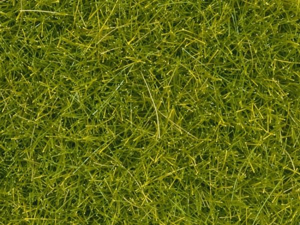 NOC08363 - Light green herbs - 4mm - 20g - 1