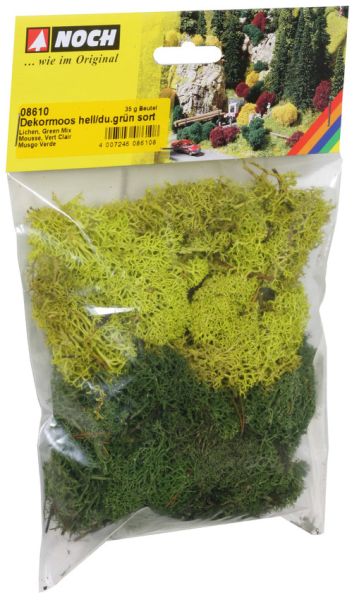 NOC08610 - Lichen stone green - 1