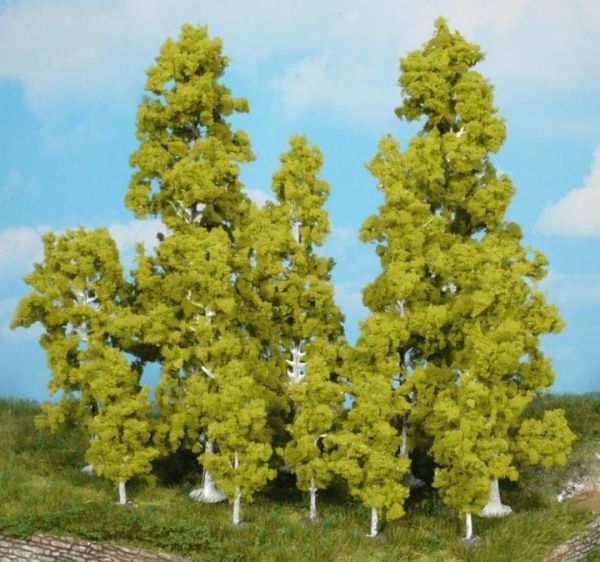 HEK1136 - 3 Birch trees 13 cm - 1
