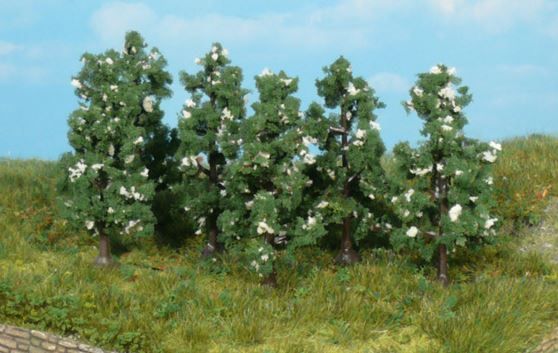 HEK1172 - 6 Pear trees 6 cm - 1