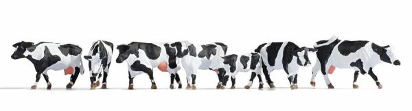 NOC12851 - Cows grazing with sound effects - 1