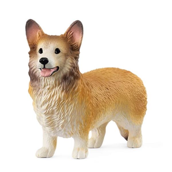 SHL13999 - Welsh Corgi Dog - 1
