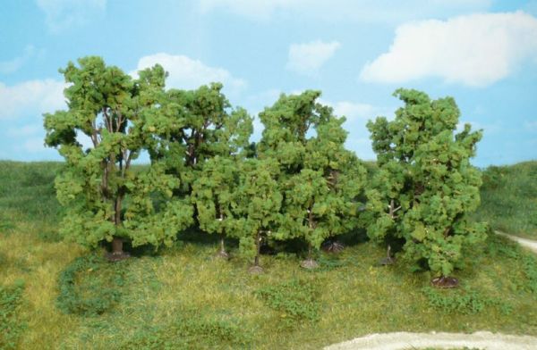 HEK1415 - 12 trees 6-13 cm - 1