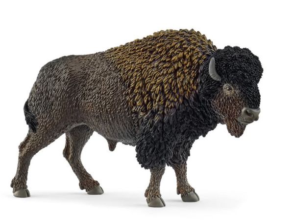 SHL14879 - Bison - 1