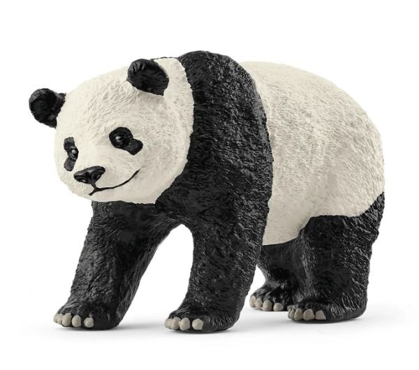 SHL14885 - Giant Panda - 1
