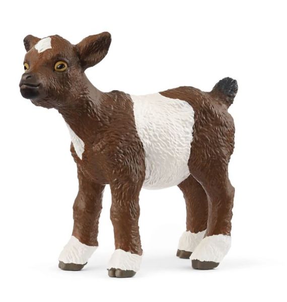 SHL14888 - Kid - 1