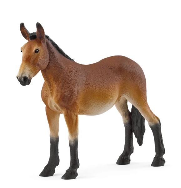 SHL14889 - Mule - 1