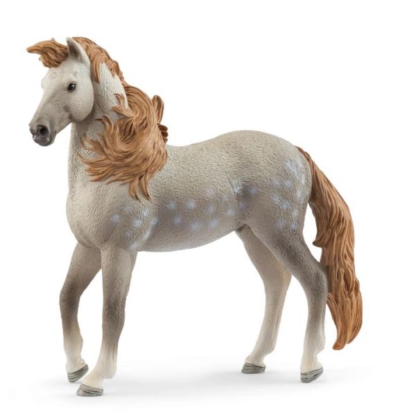 SHL14895 - Andalusian Stallion - 1