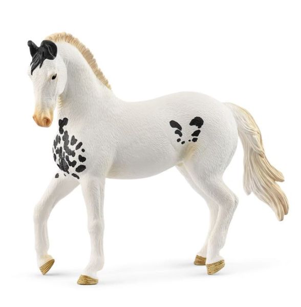 SHL14898 - Marwari Stallion - 1