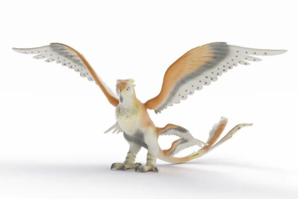 SHL14904 - The Thunderbird - 1