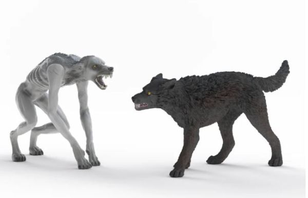 SHL14906 - Werewolf vs. Animagus - 1
