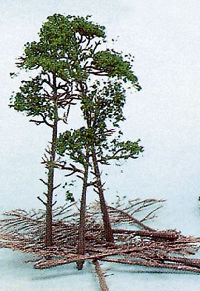 HEK1534 - Kit of 10 pine trees 10-16 cm - 1