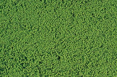 HEK1610 - Light green microflock foliage - 200 ml - 1