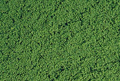 HEK1611 - Medium green microflock foliage - 200 ml - 1
