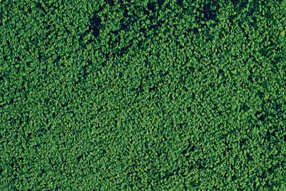 HEK1612 - Dark green microflock foliage - 200 ml - 1
