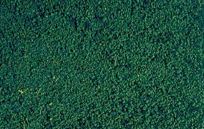 HEK1613 - Pine green microflock foliage - 200 ml - 1