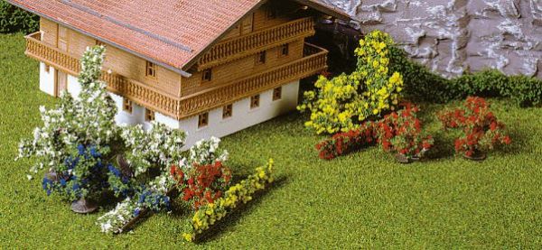 HEK1705 - 28 bushes 1-6 cm - 1