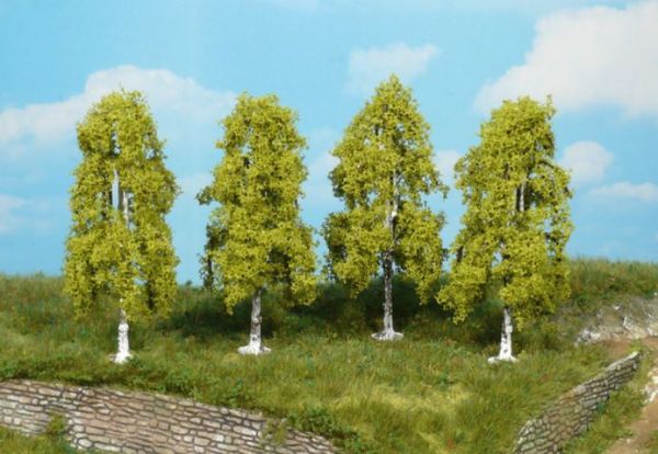 HEK1722 - 4 weeping birches 9 cm - 1