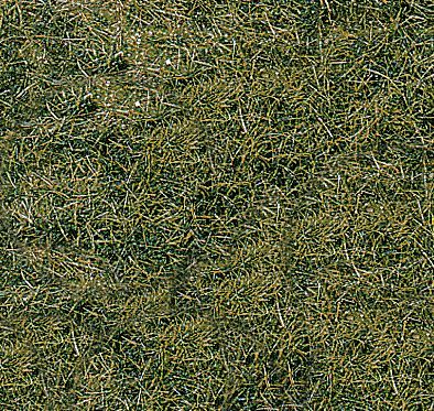 HEK1872 - 2 Mountain meadow wild grass mats - 40 x 24 cm - 1