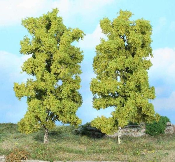 HEK19115 - 2 Birch trees 18 cm - 1