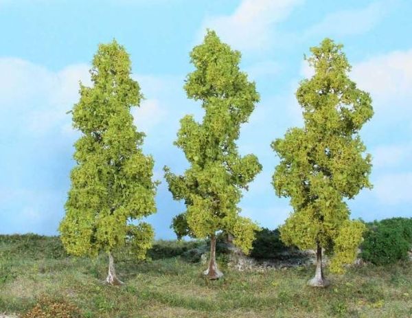 HEK19116 - 3 Birch trees 13 cm - 1
