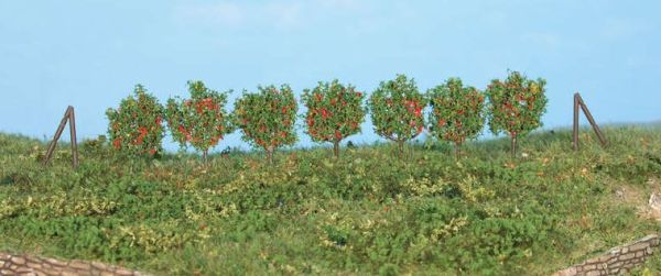 HEK19135 - 36 Espalier trees - 2.5 cm - 1