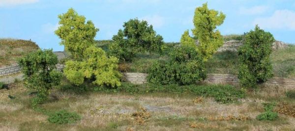 HEK1927 - 7 Bushes and shrubs 6-8 cm - 1