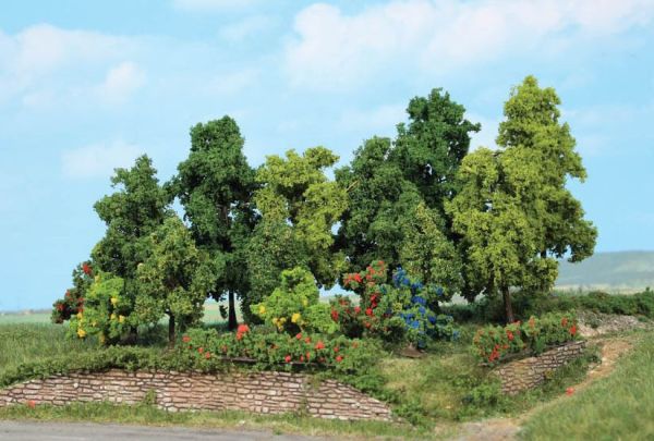HEK1996 - 18 forest trees 1-11 cm - 1