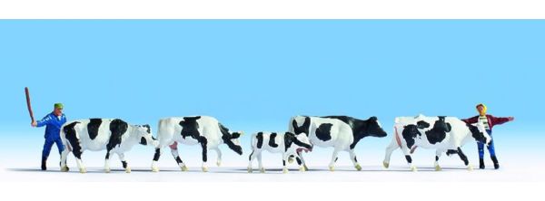 NOC15724 - Cows and farmers - 1