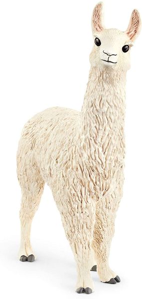 SHL13920 - llama - 1