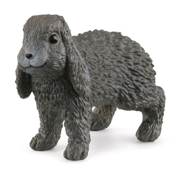 SHL13935 - lop rabbit - 1