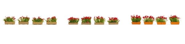 NOC14010 - Flower boxes; red - 1