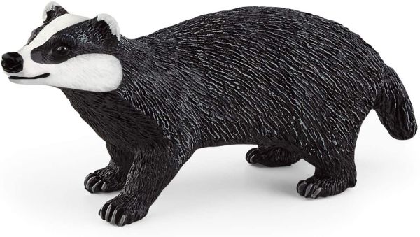 SHL14842 - Badger - 1