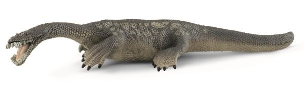 SHL15031 - nothosaurus - 1