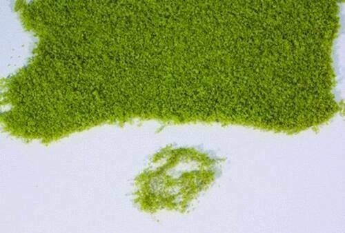 HEK15100 - Light green foliage 28x14 cm - 1