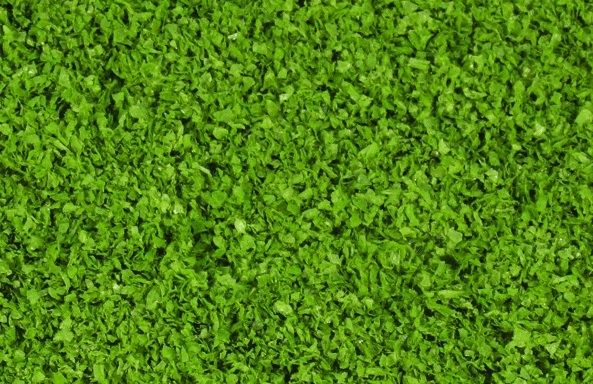 HEK15151 - Medium green foliage 200 ml - 1