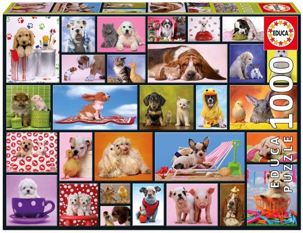 EDU15518 - Shared Moments 1000 Piece Jigsaw Puzzle - 1