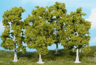 HEK1921 - 4 Birch trees 10 cm - 1