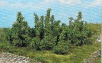 HEK1725 - 10 bushes 3 cm - 1