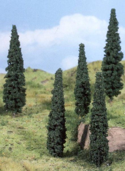 HEK1191 - 5 cypress trees 13 cm - 1